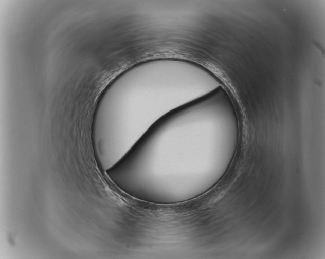 X0000103130481200808221045