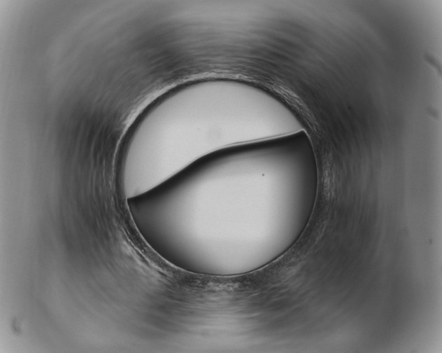 X0000103130484200808221045