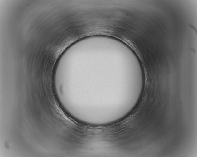 X0000103130485200808221045