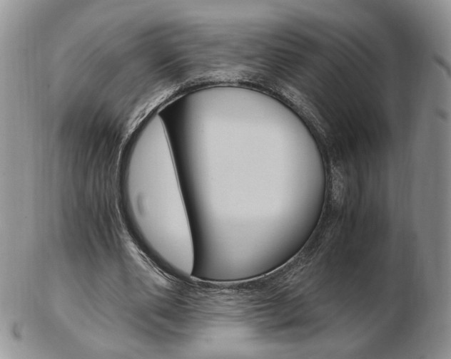 X0000103130486200808221045