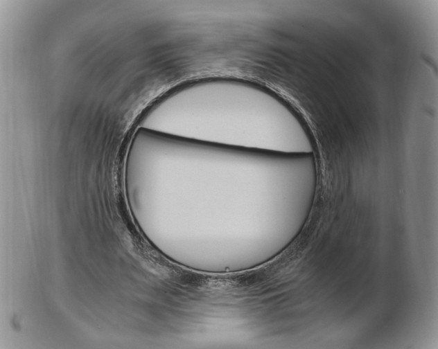X0000103130487200808221045