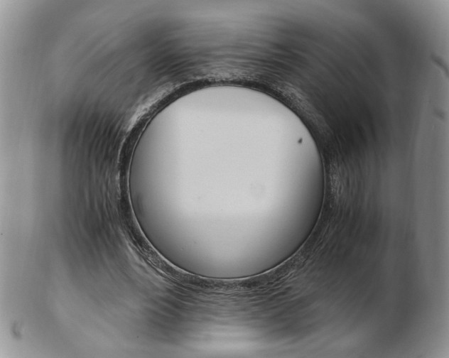 X0000103130488200808221045
