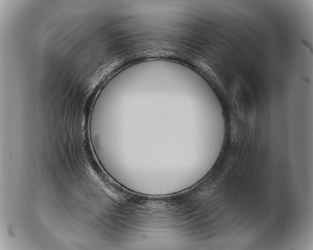 X0000103130490200808221045