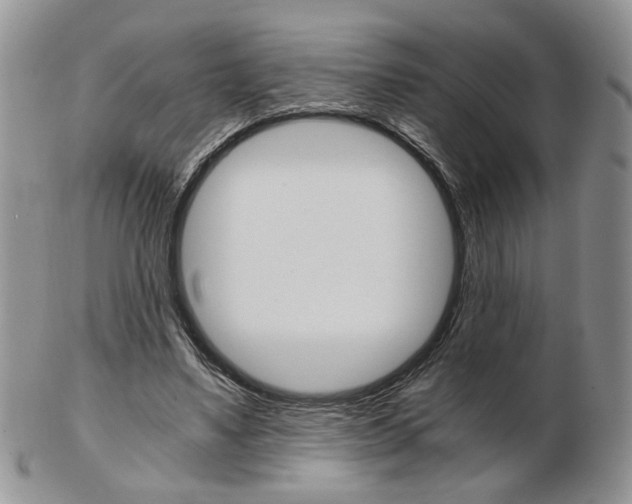 X0000103130491200808221045