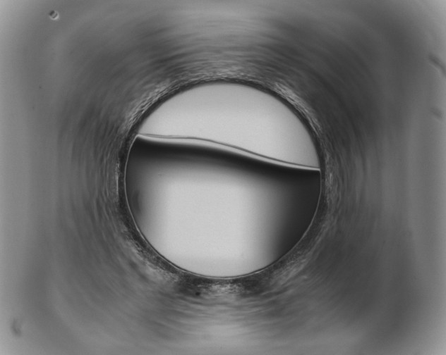 X0000103130493200808221045