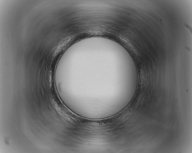 X0000103130494200808221045