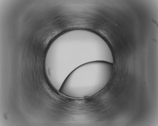 X0000103130495200808221045