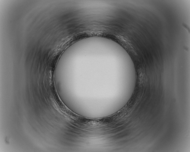 X0000103130498200808221045