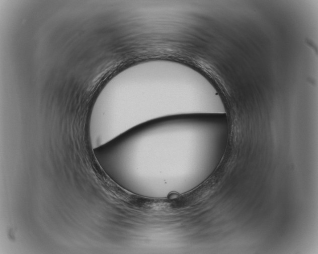 X0000103130501200808221045