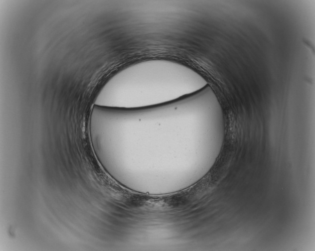 X0000103130502200808221045