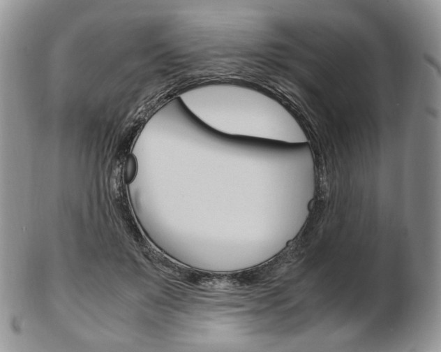 X0000103130503200808221045