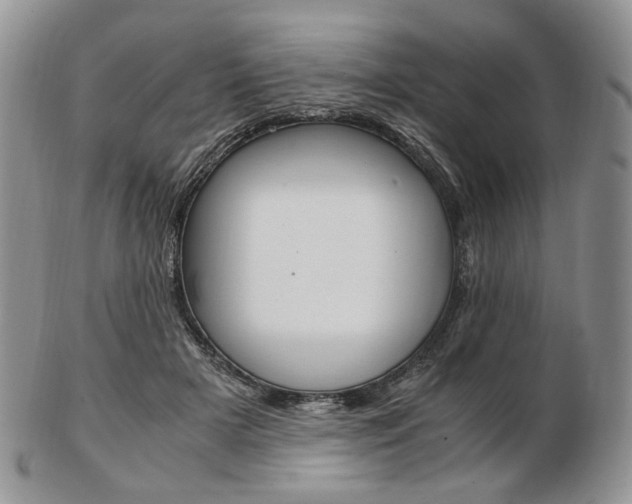 X0000103130505200808221045