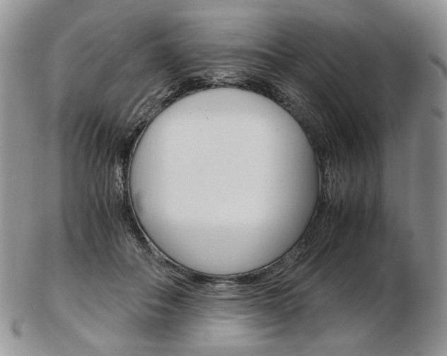 X0000103130506200808221045