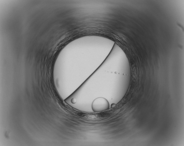 X0000103130507200808221045