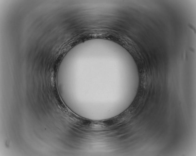 X0000103130510200808221045