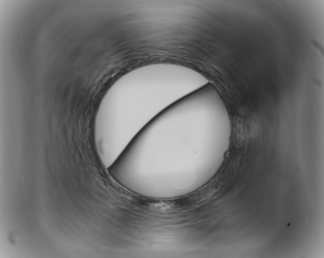 X0000103130511200808221045