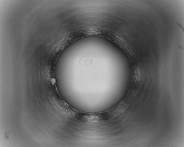 X0000103130512200808221045
