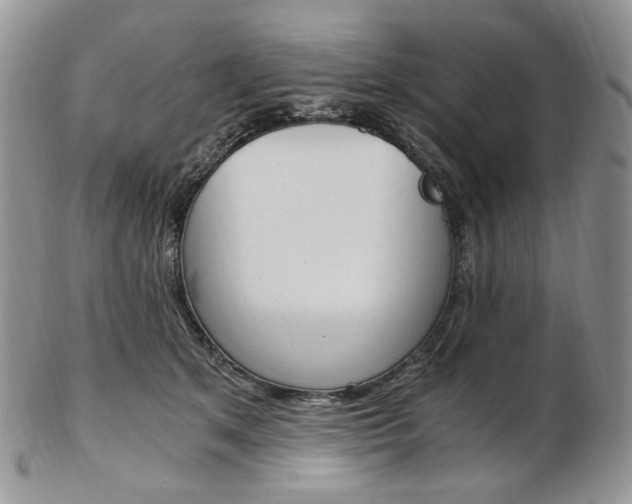 X0000103130513200808221045