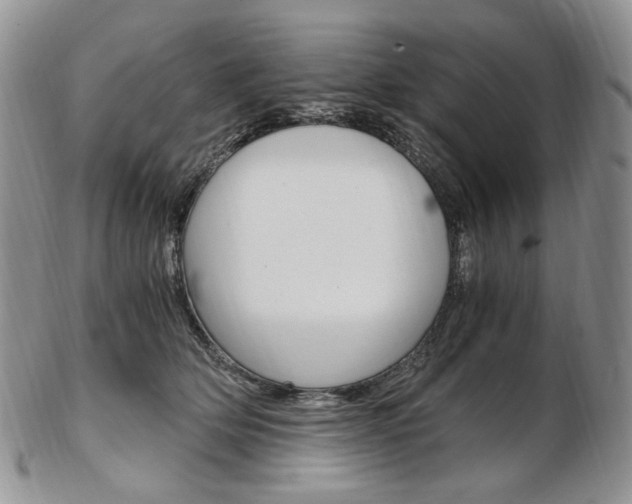 X0000103130514200808221045