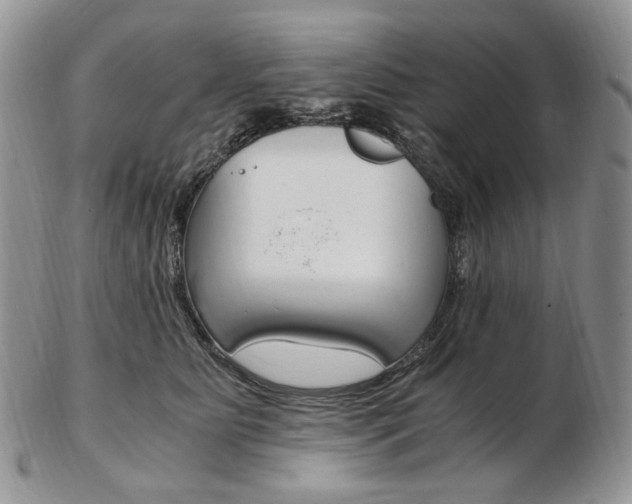 X0000103130515200808221045