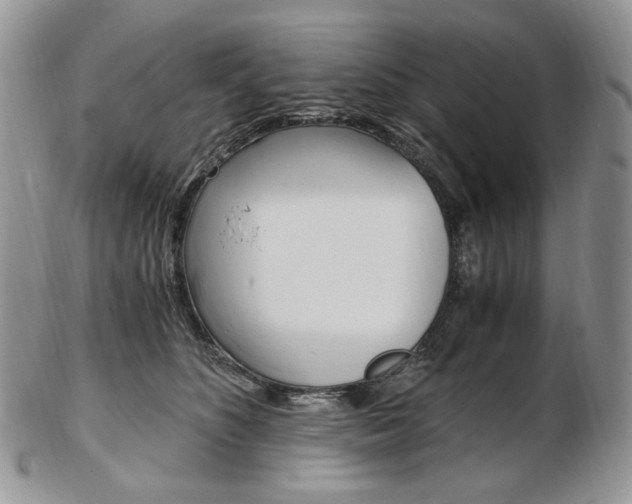 X0000103130516200808221045