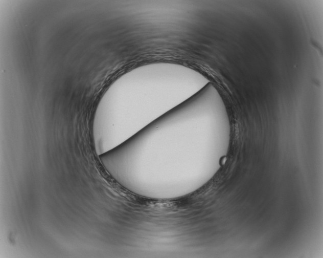 X0000103130517200808221045