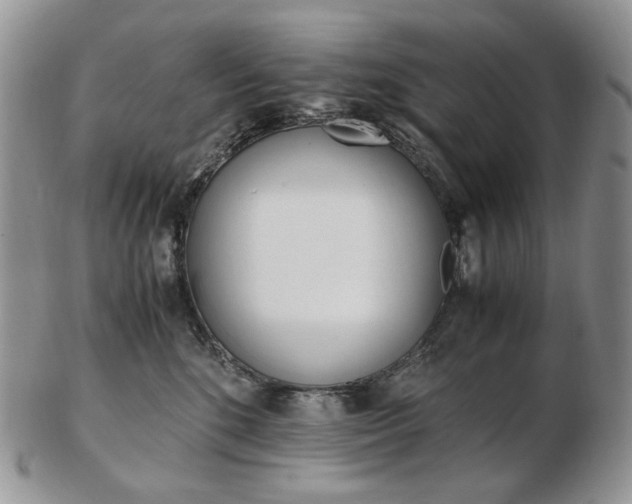 X0000103130520200808221044