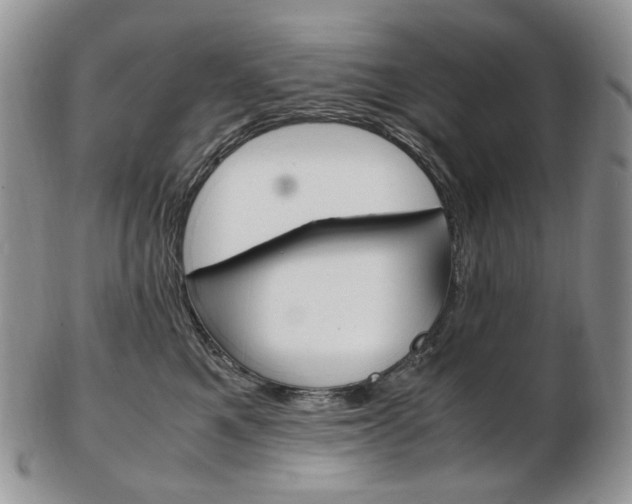 X0000103130521200808221044