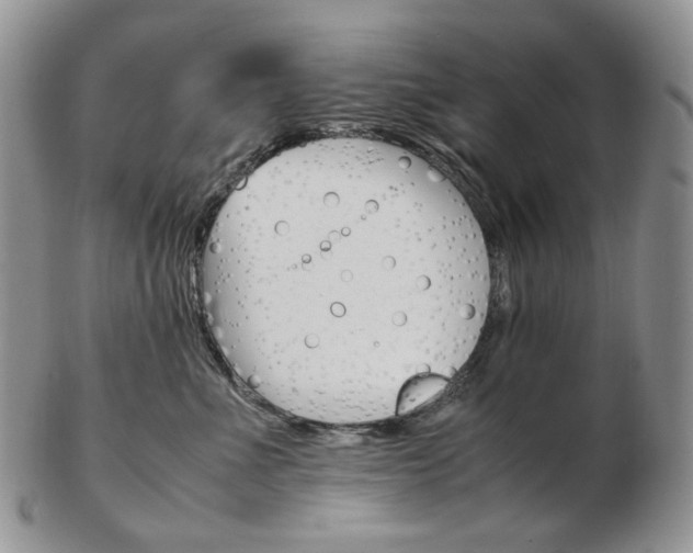 X0000103130523200808221044
