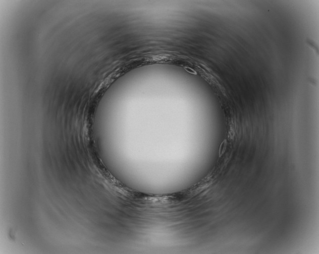 X0000103130524200808221044