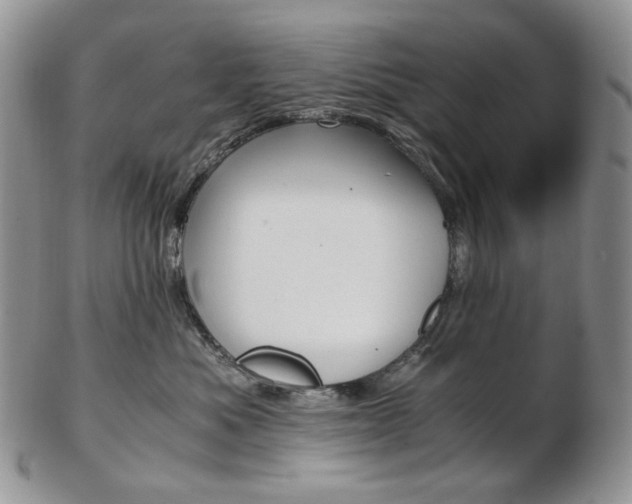 X0000103130525200808221044