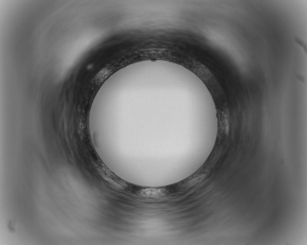X0000103130526200808221044