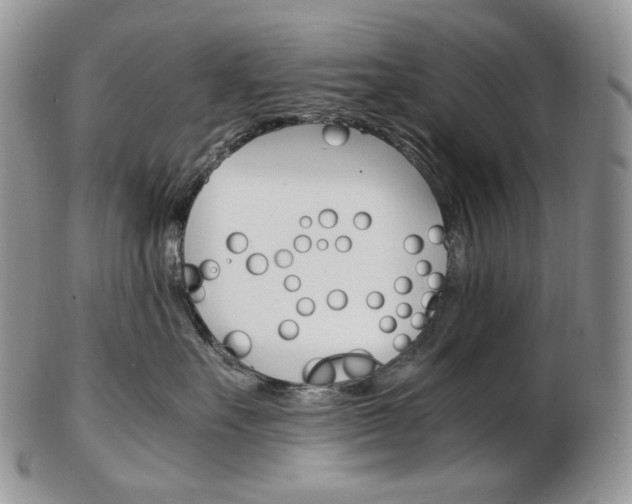 X0000103130527200808221044