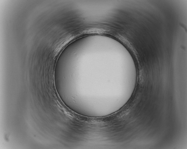 X0000103130529200808221044