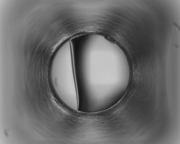 X0000103130530200808221044