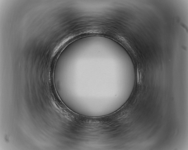 X0000103130531200808221044
