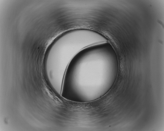 X0000103130532200808221044