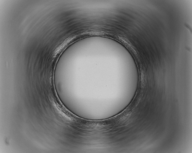 X0000103130533200808221044