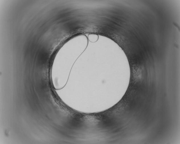 X0000103130534200808221044