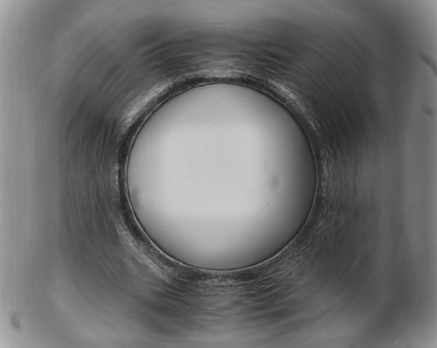 X0000103130535200808221044