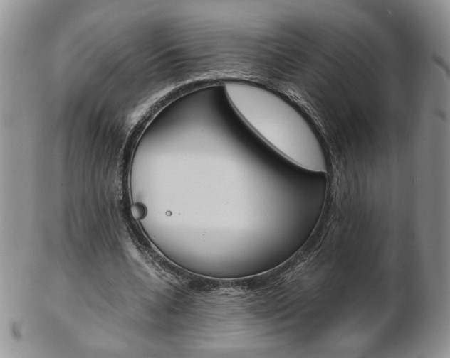 X0000103130536200808221044