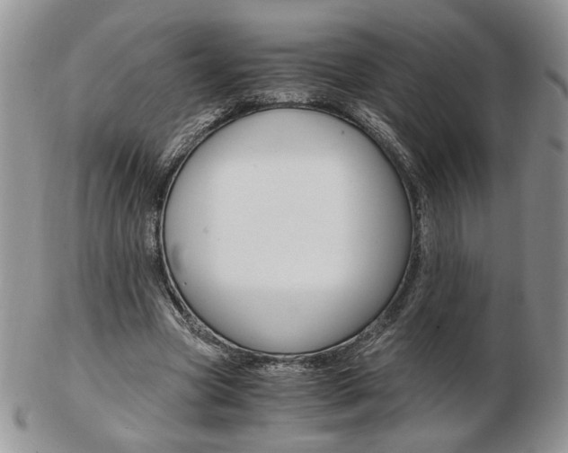 X0000103130537200808221044