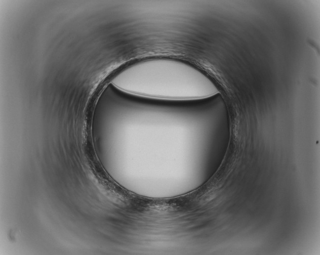 X0000103130540200808221044