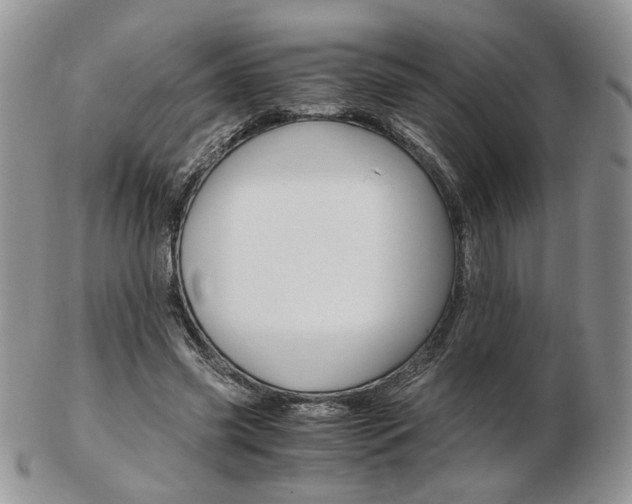 X0000103130541200808221044