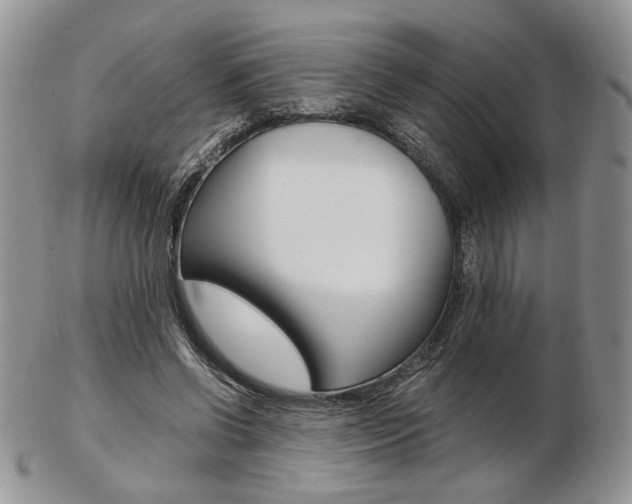 X0000103130542200808221044