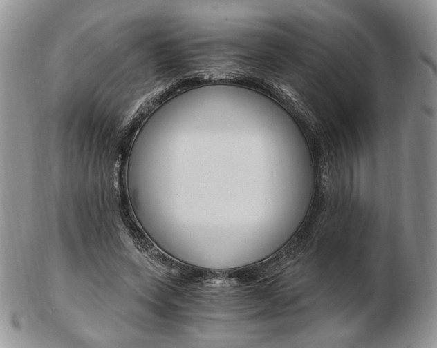 X0000103130543200808221044