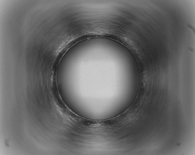 X0000103130544200808221044