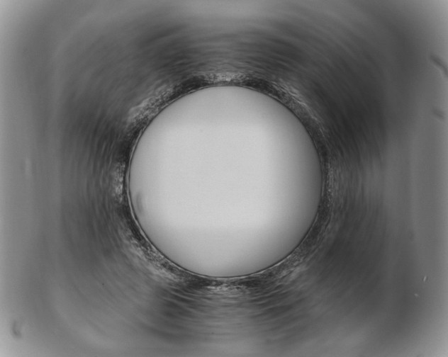 X0000103130545200808221044