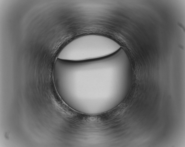 X0000103130546200808221044