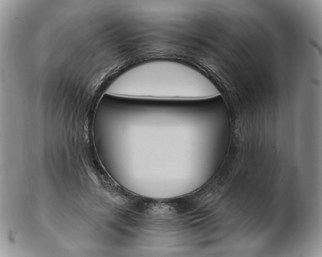 X0000103130547200808221044